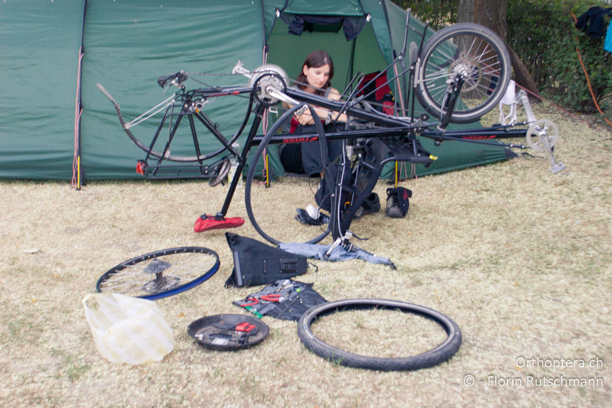 28.07.2007 Speichenbruch auf dem Campingplatz bei Hajdúnánás. Was nun? Vom grossen Gefluche zur Ratlosigkeit. Ungarn