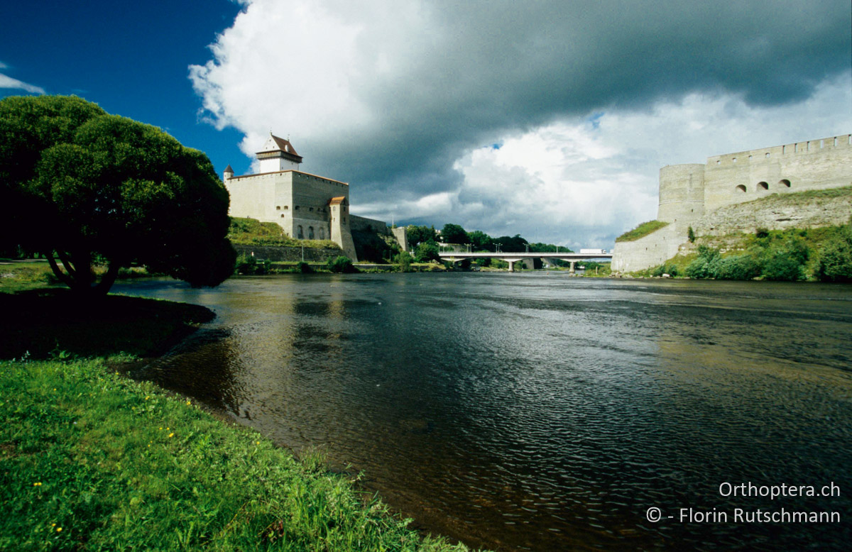 14.08.2004 Die Hermannsfeste auf der estnischen Flussseite und die russische Festung Iwangorod am rechten Ufer. Estland