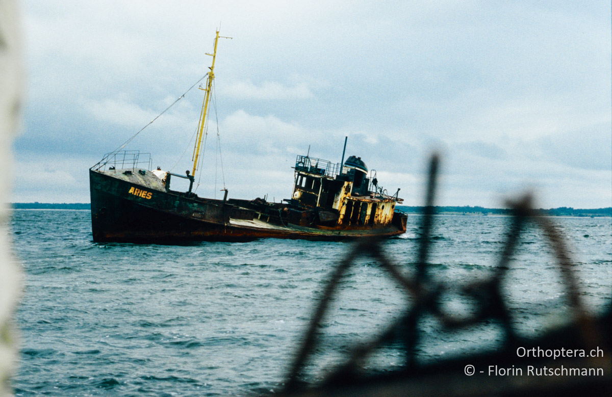 15.08.2004 Gesunkenes Schiff vor dem Hafen von Paldiski. Estland