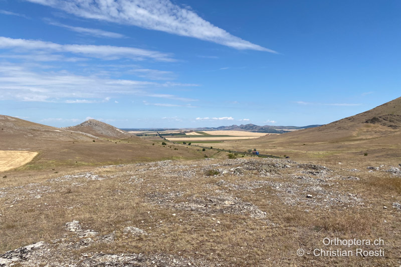 Sehr trockene Weidelandschaft im Macin-Gebirge - RU, Dobrudscha, Cerna, 19.07.2020