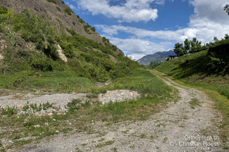 Feldweg in einem Steinbruch - CH, VS, Mazembroz, 28.04.2025