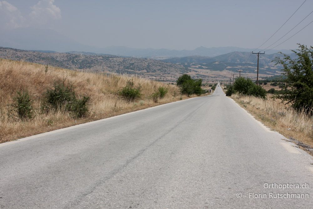 Blick in die wärmste Gegend Griechenlands. Im Talkessel staut sich die Hitze. Ich noch keine heissere Stelle in Griechenland erlebt - Elassona, 16.07.2011