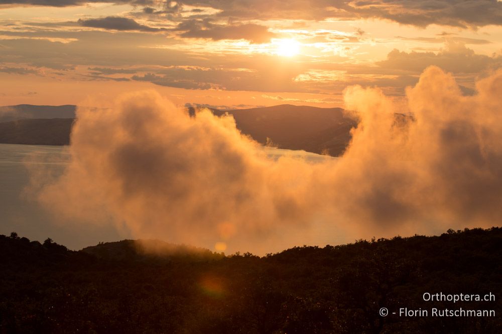 Abendstimmung in den Bergen an der Küste - HR, Lika-Senj, Velebit Nationalpark, 27.07.2014