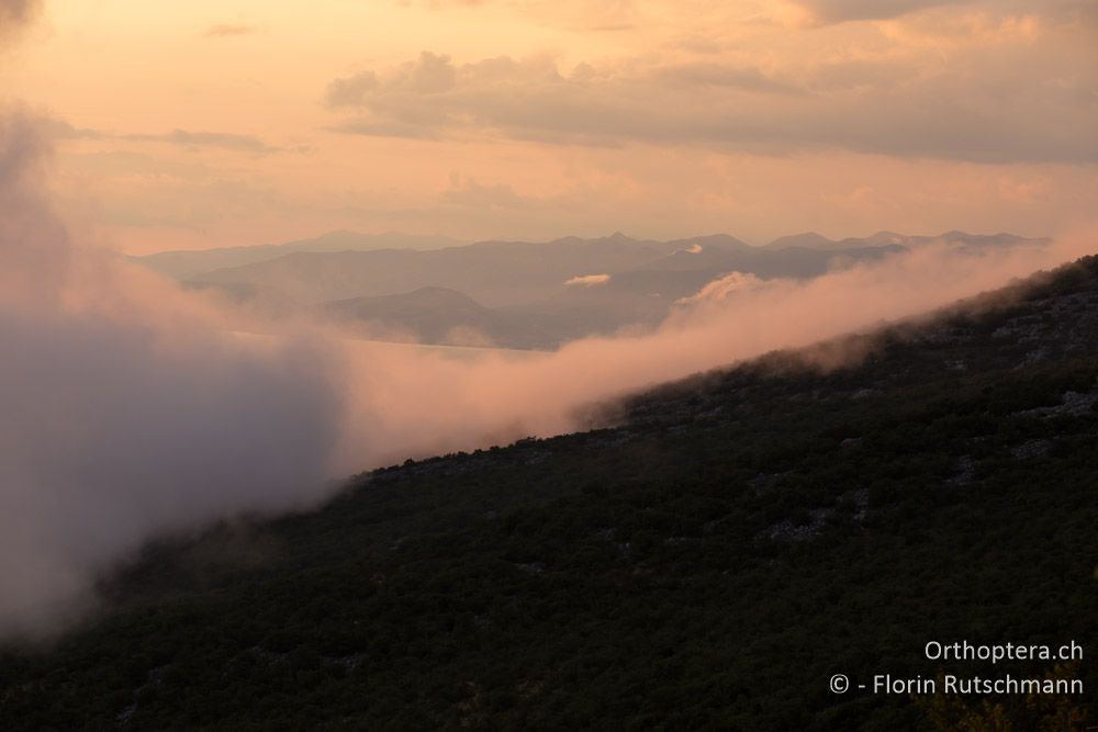 Nach einem heftigen Regenschauer ziehen Wolkenfelder im Abendlicht entlang der Bergflanken - HR, Lika-Senj, Velebit Nationalpark, 27.07.2014