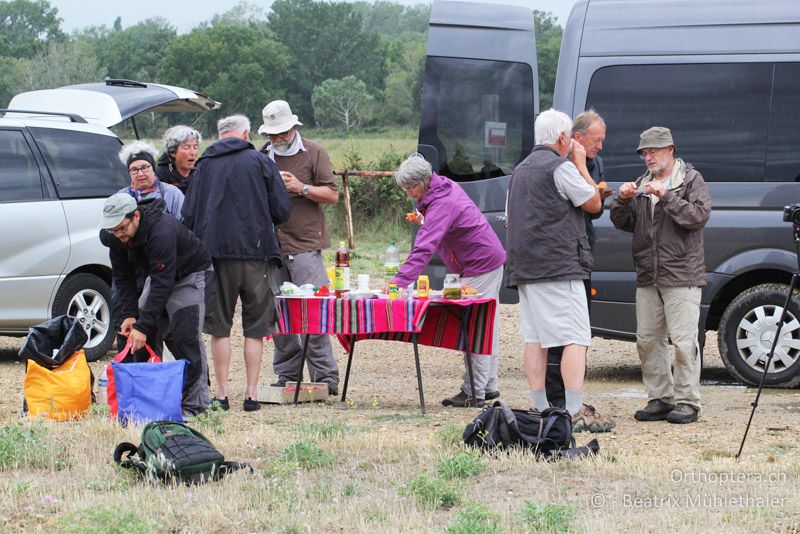 Picnic am Canal de Vergière - FR, Crau, 07.07.2014