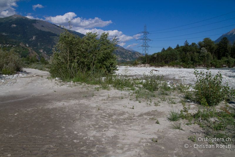 Feuchte Sandfläche mit hoher Sonneneinstrahlung - CH, VS, Salgesch, 11.08.2013