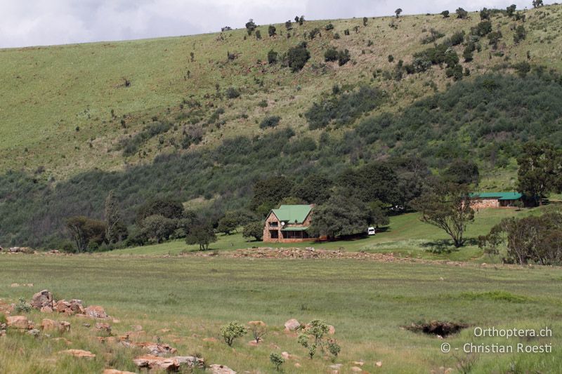 Lodge mit Umschwung - SA, Mpumalanga, Dullstroom, Field & Stream Lodge, 12.01.2015