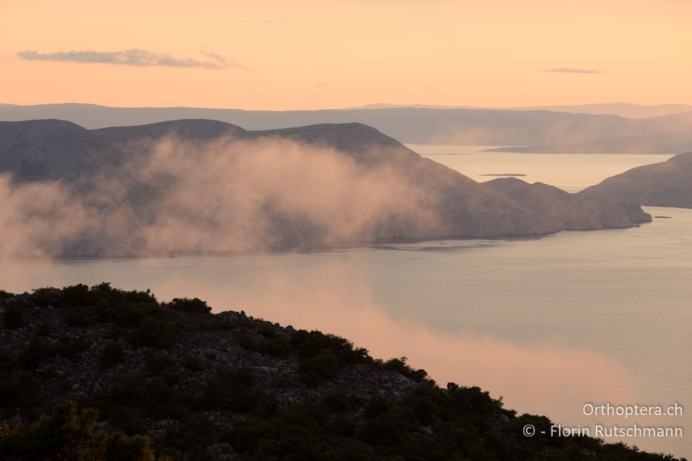 Abendstimmung an der Küste - HR, Lika-Senj, Velebit Nationalpark, 27.07.2014