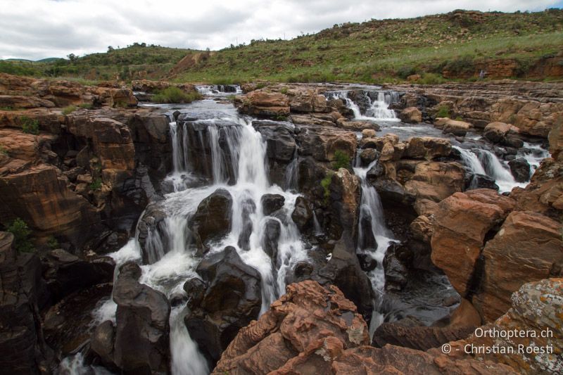 Bourke's Luck Potholes - SA, Mpumalanga, Matibidi, Seitenbach vom Blyde River, 10.01.2015