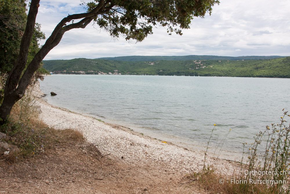 Meeresbucht Raški zaljev - HR, Istrien, Hrboki, 16.06.2014