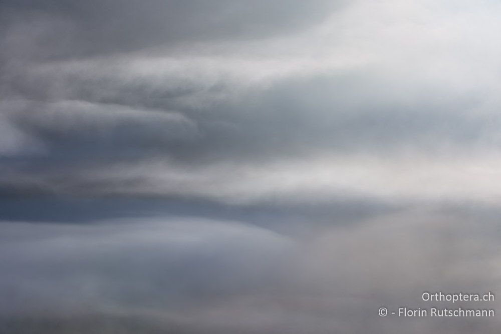 Nebel im Gegenlicht - HR, Istrien, Učka-Gebirge, 02.08.2014