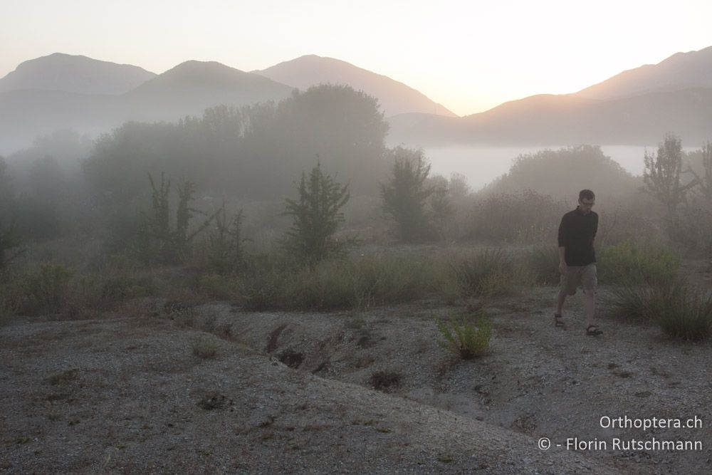 Morgennebel - Westlich von Paramythia, 22.07.2011