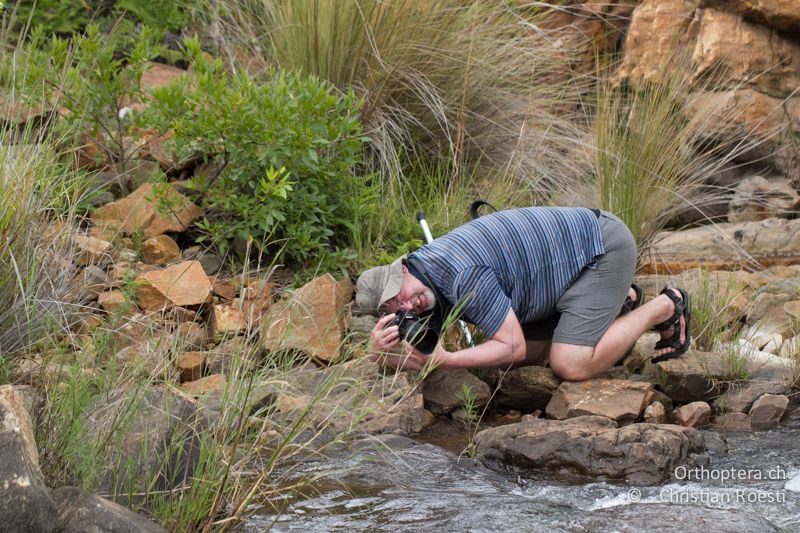 Stefan und die Exuvien - SA, Mpumalanga, Matibidi, Seitenbach vom Blyde River, 10.01.2015