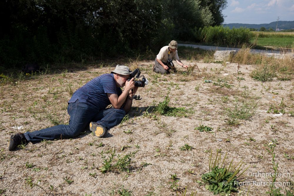 Mit Jeans, als wäre es nicht schon heiss genug! - SLO, Osrednjeslovenska, Ig, 18.07.2015