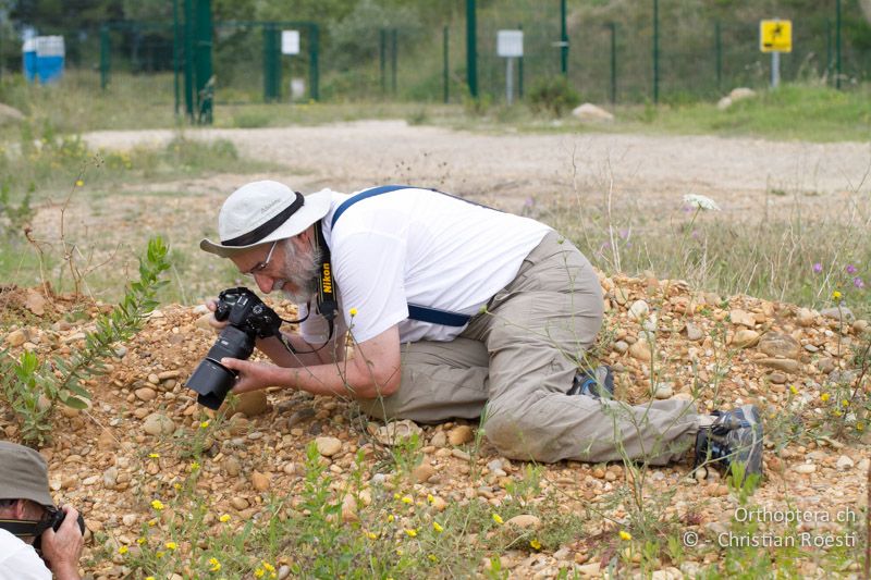 Stefan und Daniel beim Fotografieren von Aiolopus puissanti - FR, Saint-Gilles, 10.07.2014