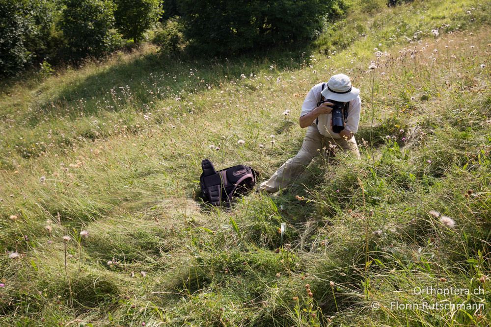 Stefan in fantastischer Wiese - HR, Istrien, Vela Učka, 20.07.2015