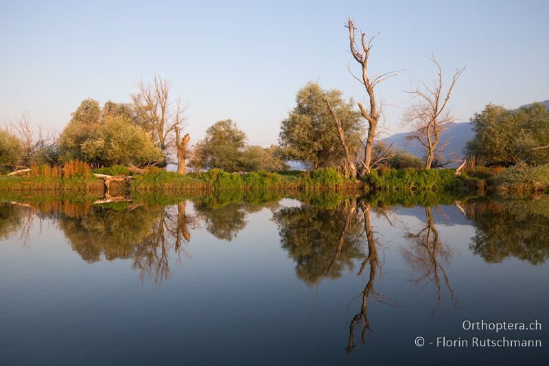 Landschaft in der Morgensonne - GR, Zentralmakedonien, Kerkini, 08.07.2017