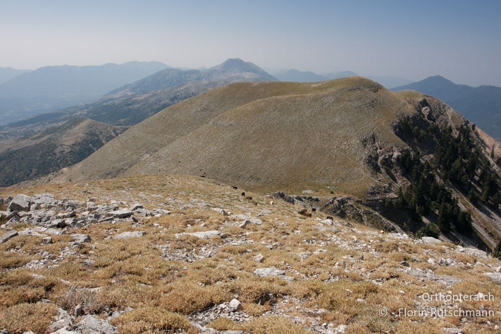 Blick über den Mt. Soulion, 09.07.2012