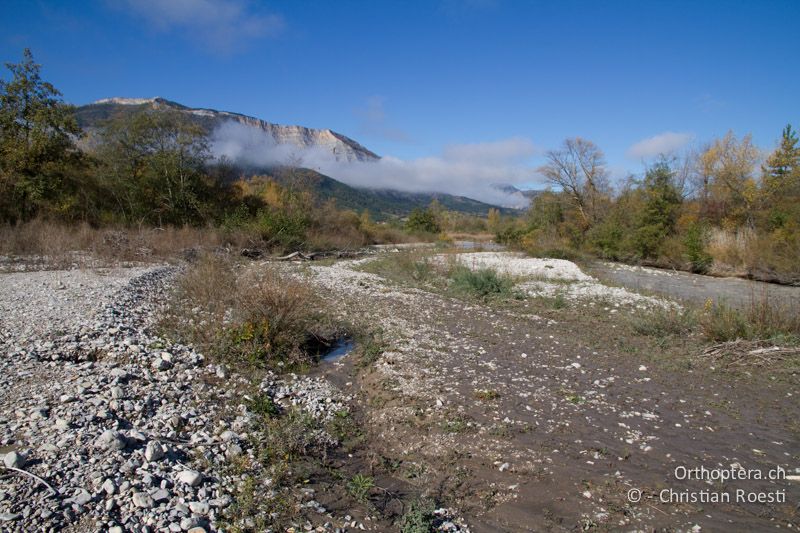 Natürliche Auenlandschaft mit kiesig-sandigen Schwemmflächen - FR, Drôme, Recoubeau, 26.10.2011