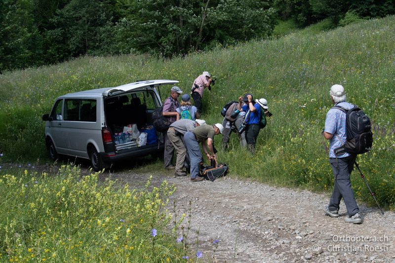 Unsere Gruppe in den wunderschönen Blumenwiesen der Karpaten