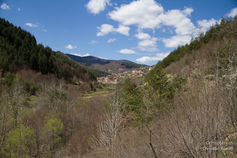 Dorf in der Umgebung von Smoljan in den westlichen Rhodopen