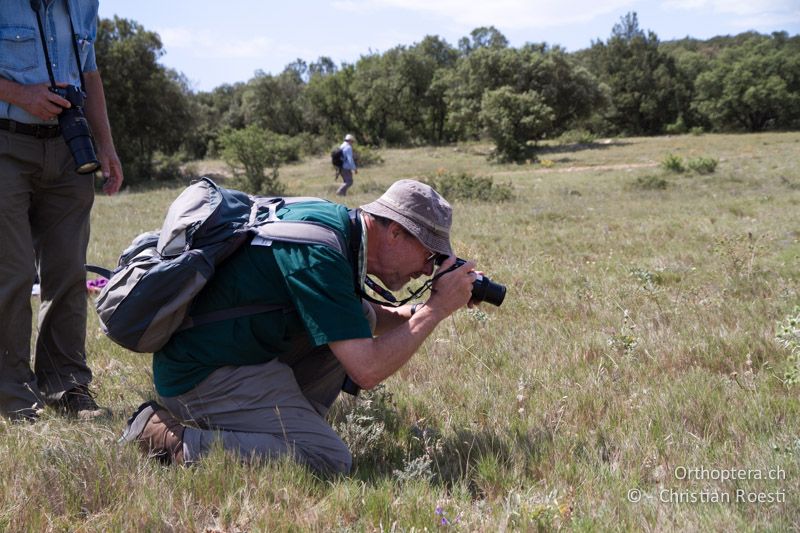 Kurt fotografiert die Berghexe - FR, Plateau d'Aumelas, 11.07.2104