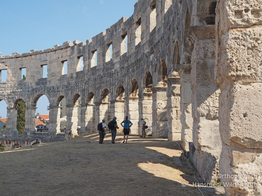 Ein Stück Kultur zum Ausgleich - HR, Istrien, Pula, römisches Amphitheater, 25.07.2015