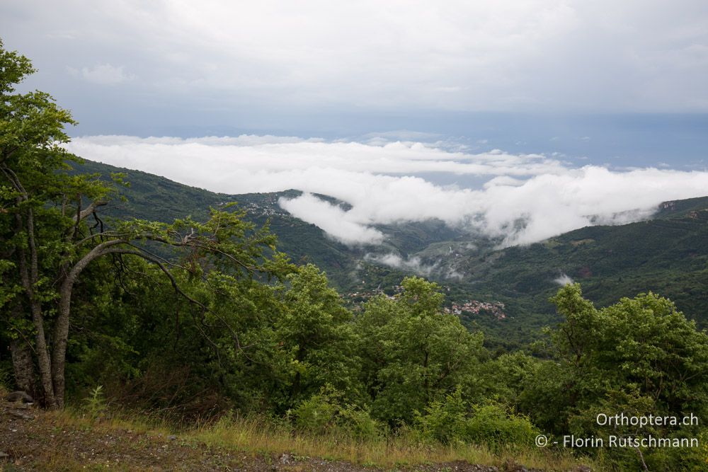 Zwischen den Regenschauern ist es ungemütlich kühl - GR, Thessalien, Pelion, 18.06.2015