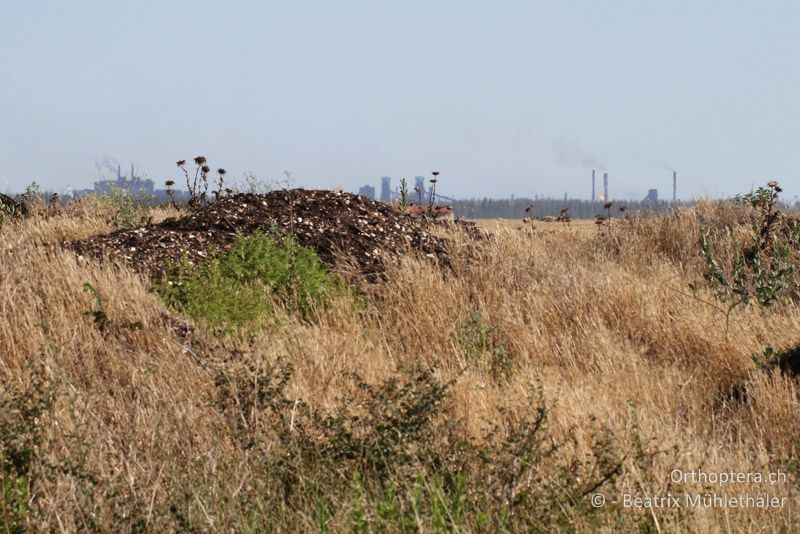 Keine Fata Morgana in der Crau: Raffinerie von Fos-sur-Mer - FR, Crau, 08.07.2014