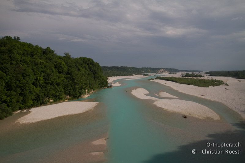 Tagliamento - IT, Friaul-Julisch Venetien, Pinzano al Tagliamento, 29.05.2014