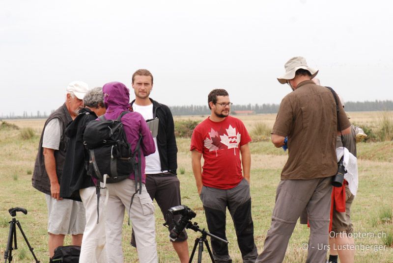 Die Teilnehmer besprechen ihre Funde unter den aufmerksamen Blicken der Leiter - FR, Crau, 07.07.2014