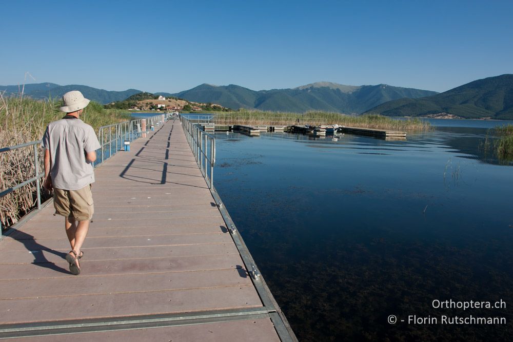 Am Kleinen Prespa-See mit der Insel Aghios Achilios im Hintergrund - Kleiner Prespa-See, 18.07.2011