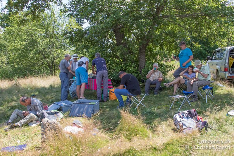 Mittagessen bei Tettigonia balcanica - BG, Blagoevgrad, Waldlichtung vor Raslog bei Bansko, 14.07.2018