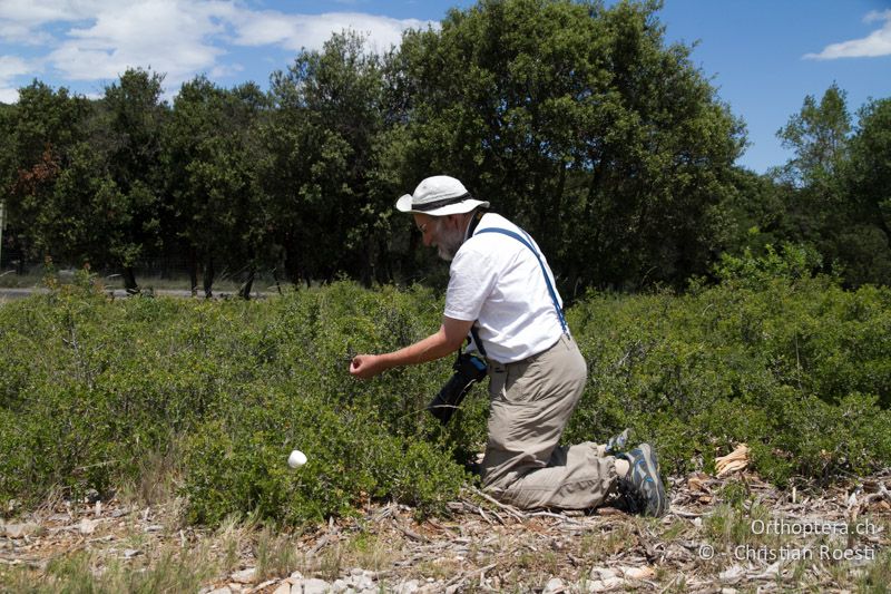 Stefan nimmt eine Sattelschrecke aufs Korn - FR, Plateau d'Aumelas, 11.07.2104