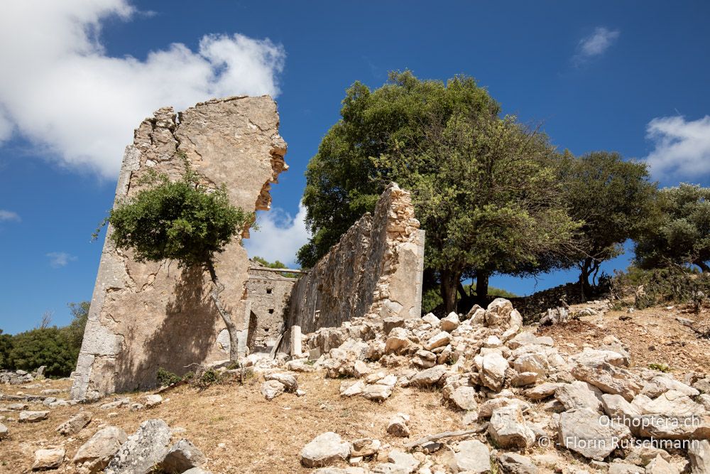 Zerfallene Kapelle als Lebensraum - GR, Ionische Inseln, Kefalonia, 14.06.2024