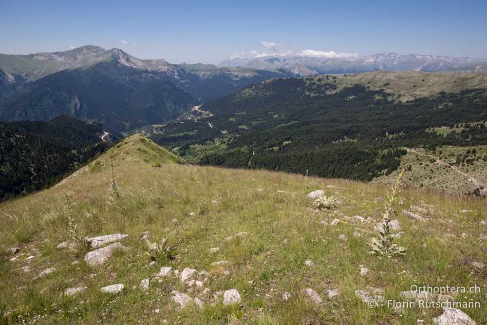 Weitsicht auf einem Berggipfel - GR, Thessalien, Pindos-Gebirge, 24.06.2015