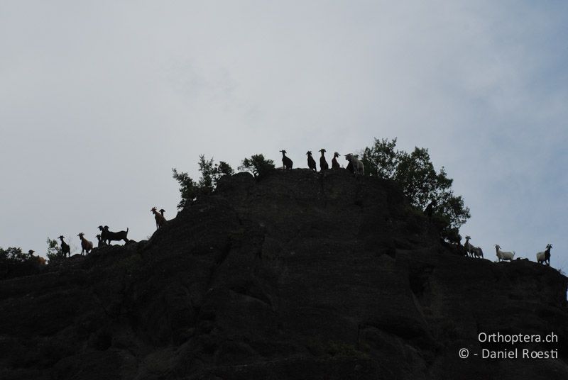 Was macht ihr da unten? - GR, Westmakedonien, Grevena, 12.07.2013