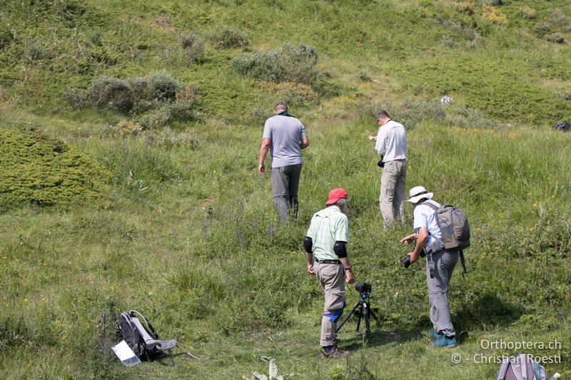 Da ist der Apparat! - BG, Blagoewgrad, Bergwiese bei Pass nach Pirin, 12.07.2018