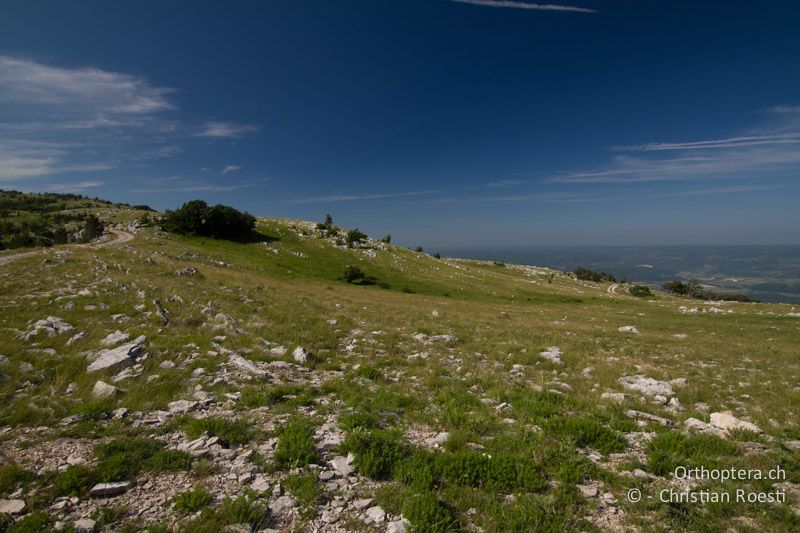 Abendstimmung auf der Hochebene im Učka-Gebirge - HR, Istrien, Učka, 01.06.2014