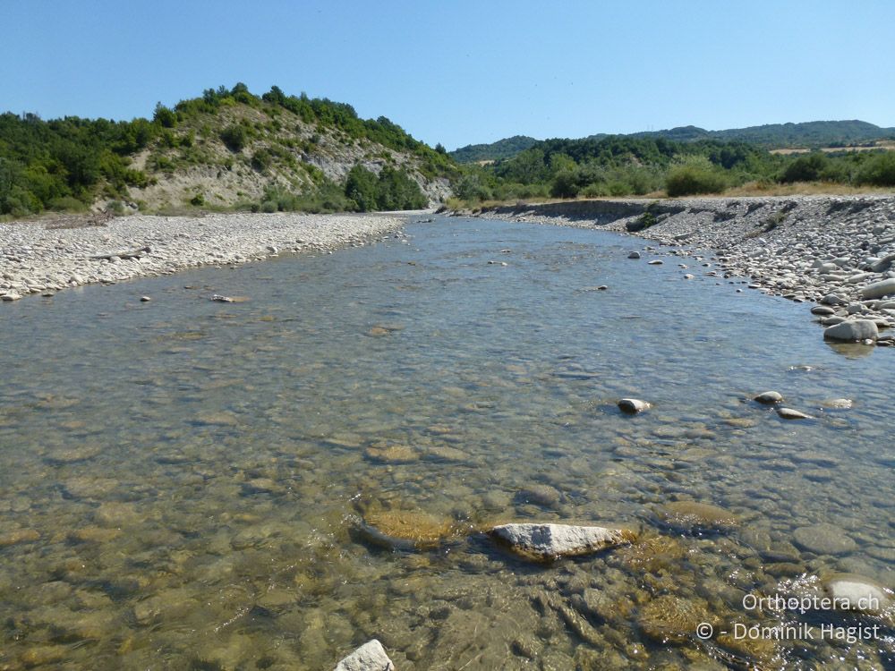 Am Fluss Aliakmonas südöstlich von Kastoria - Bei Aghia Anna, 21.07.2011