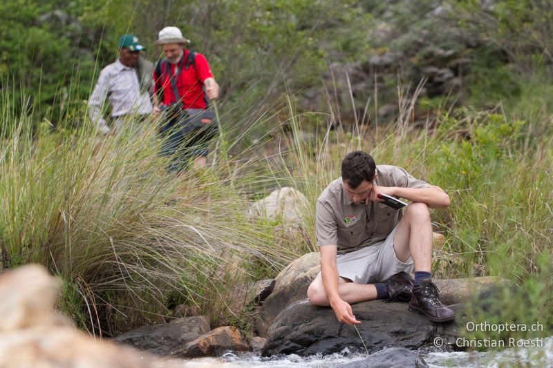 Stefan - SA, Mpumalanga, Matibidi, Seitenbach vom Blyde River, 10.01.2015