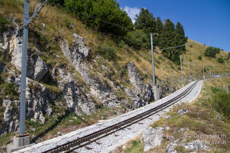 Felsen entlang der Mt. Generoso-Bahn - CH, TI, Mt. Generoso, 17.08.2013