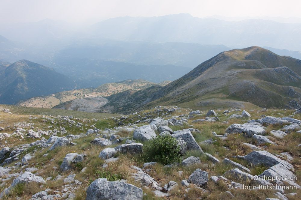 Blick vom Gipfel (ca. 2000 m) in das Tal - Mt. Tomaros, 13.07.2011