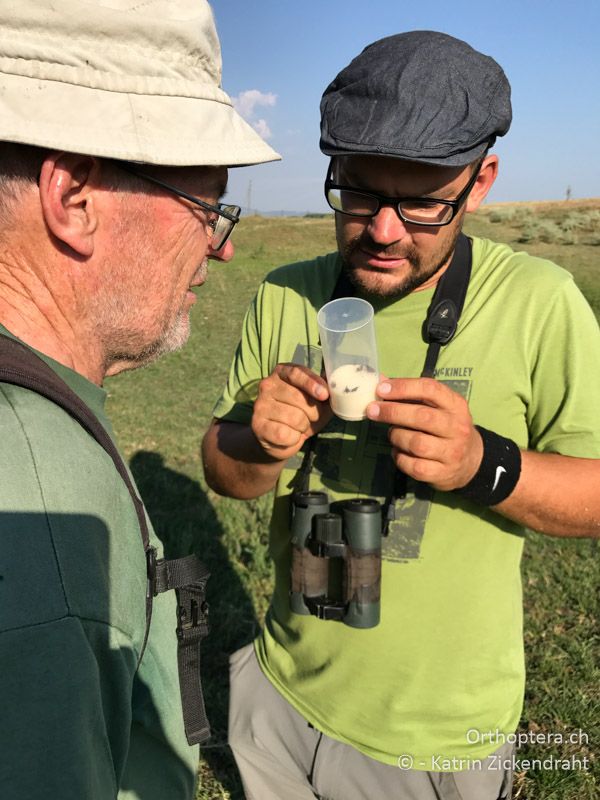 Daniel und Christian begutachten Dornschrecken - GR, Zentralmakedonien, Strimonas Fluss, 08.07.2017