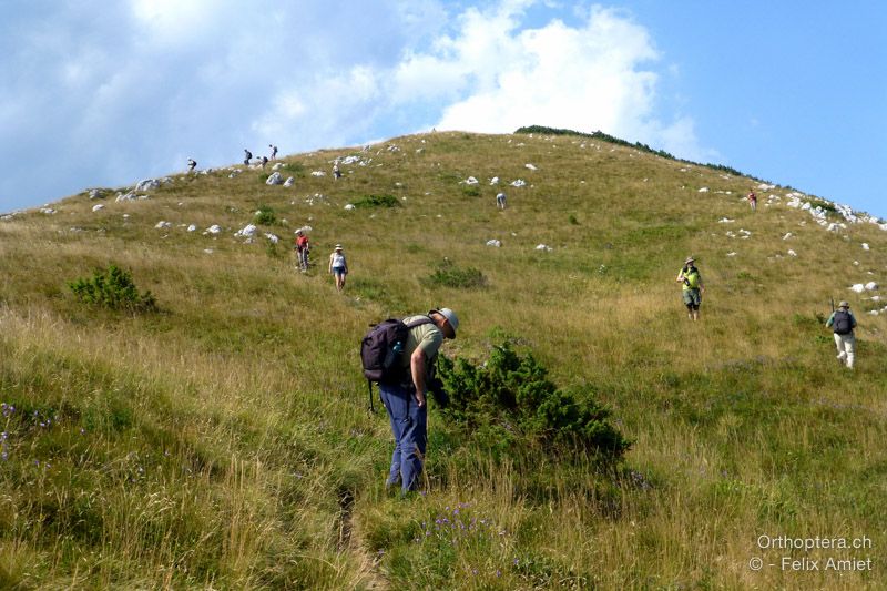 Gruppe auf Wanderschaft - HR, Istrien, Mala Učka, 20.07.2015