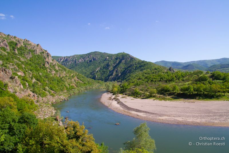 Der Arda-Fluss schlängelt sich durch die imposante Felslandschaft bei Madzharavo in den östlichen Rhodopen. In den Felsen brüten Chukarhuhn, Gänsegeier, Schmutzgeier, Adlerbussard, Blaumerle, Ortolan und Zippammer. Entlang des Flusses findet man Xya variegata und Xya pfaendleri.