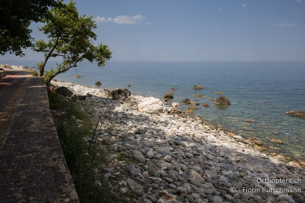 Blick aufs Meer - GR, Thessalien, Pelion, 16.06.2015