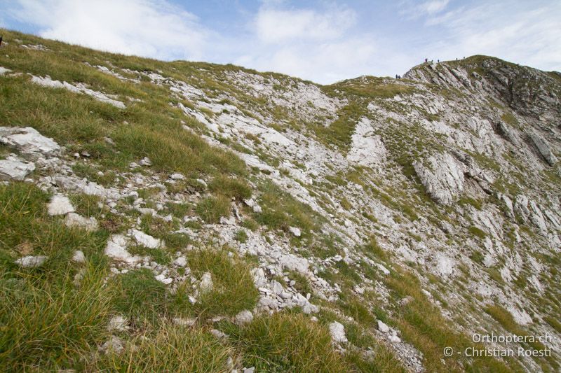 Karstiger Südhang - SLO, Gorenjska, Mt. Vogel, 19.09.2016