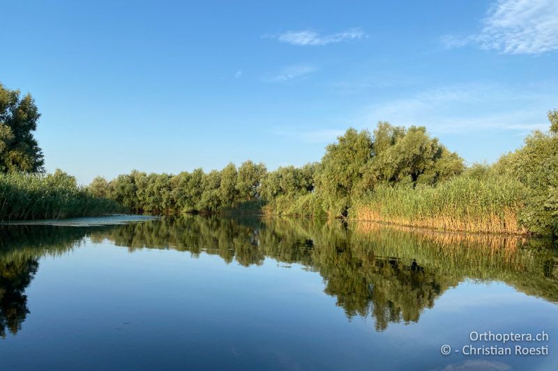 Landschaft im Donaudelta