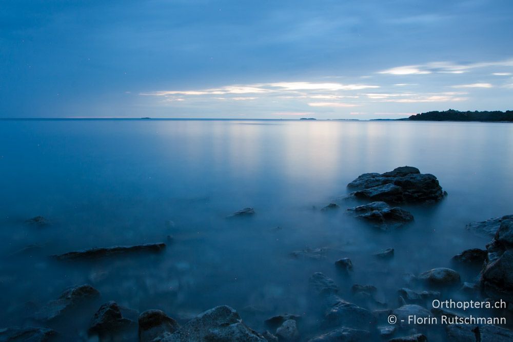 Abendstimmung an der Küste - HR, Istrien, Peroj, 16.06.2014